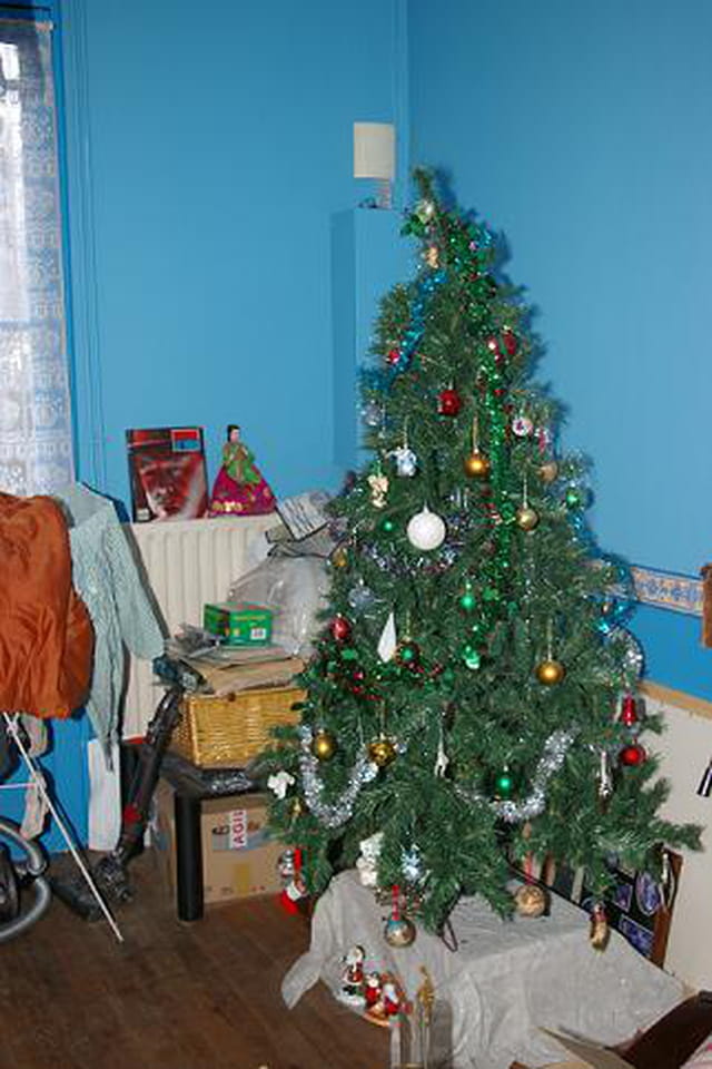 Mon beau sapin 2007