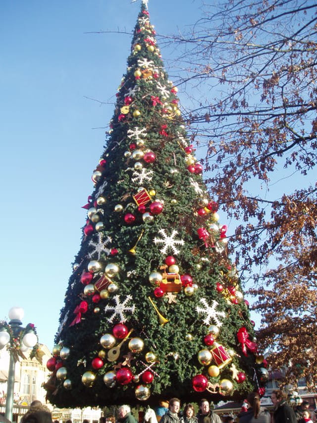 Mon beau sapin