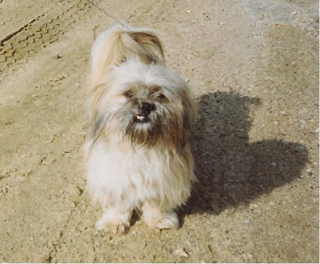 Mon Doudou d'amour !