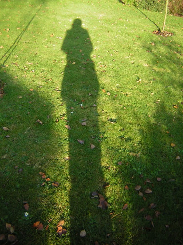 Mon ombre
