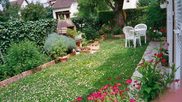 Mon petit coin de verdure