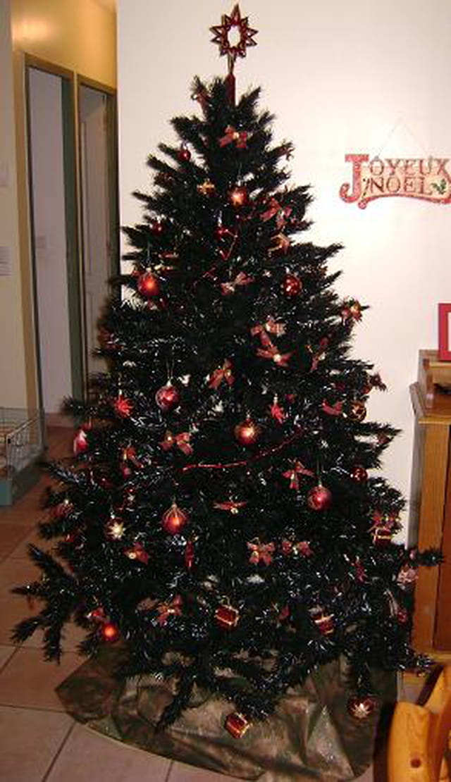 Mon sapin