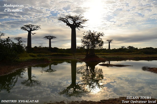 Morondava au coucher de soleil