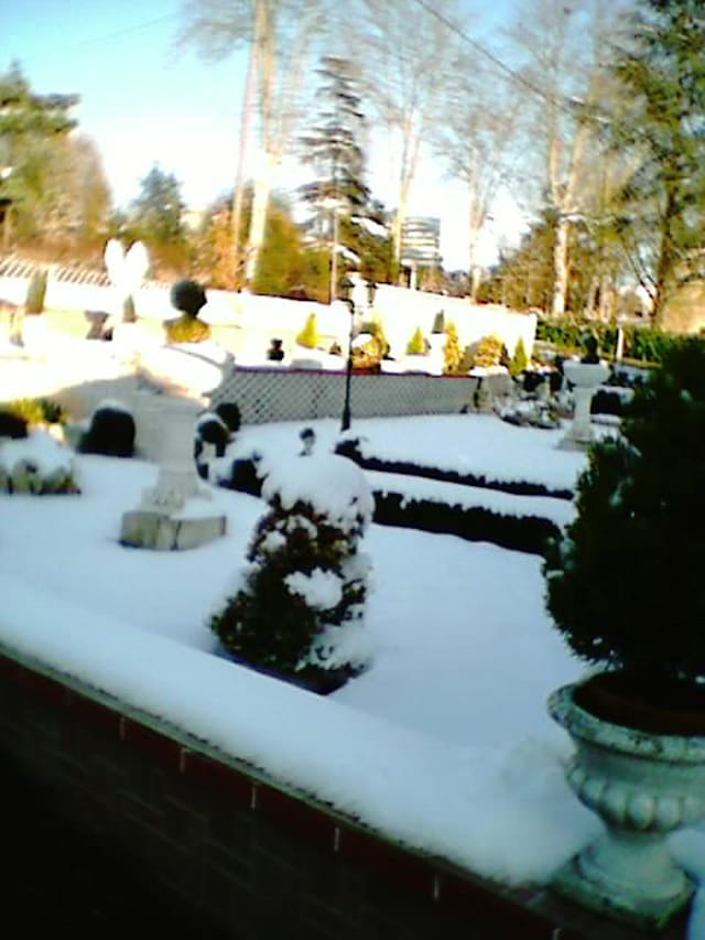 Neige 01/2007