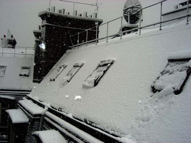 Neige