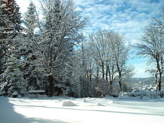 Neige
