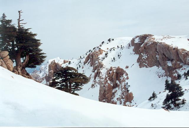 Neige