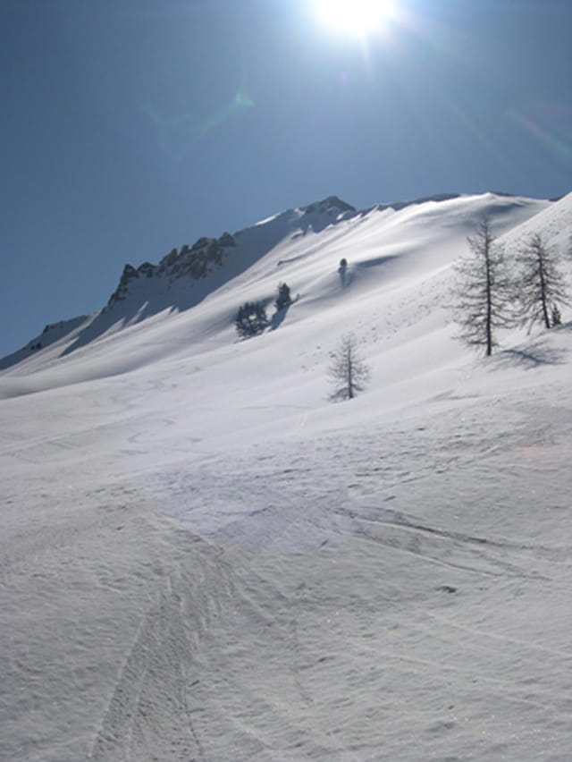 Neige