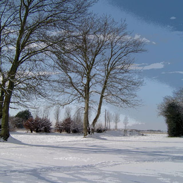 Neige a Ablon