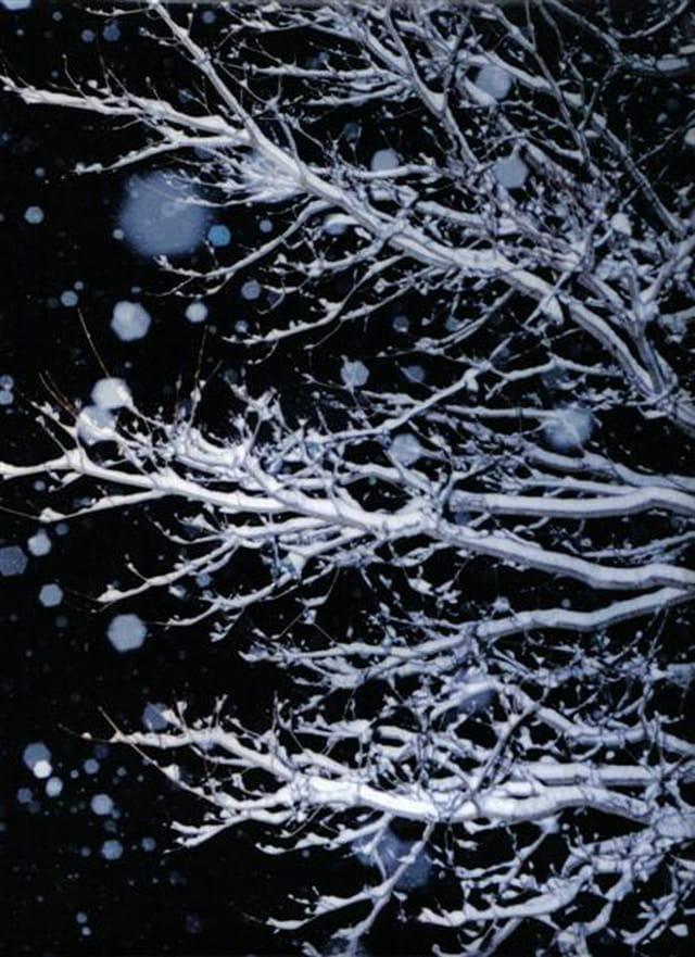 Neiges