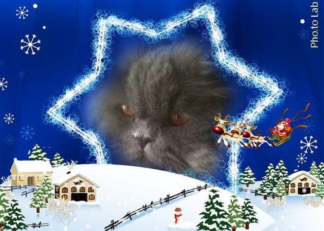 Noel 2013
