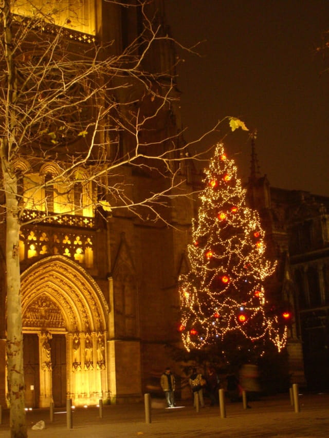 Notre Dame de Bordeaux à Noël