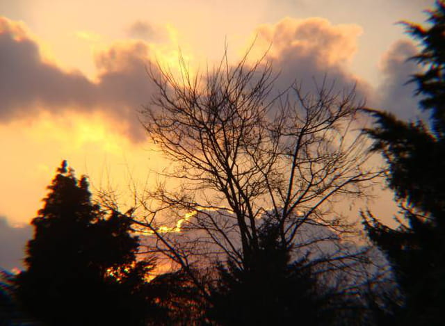 Nuage du crépuscule
