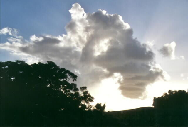 Nuages et arbres