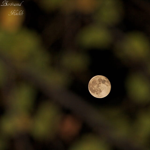 Nuit automnale