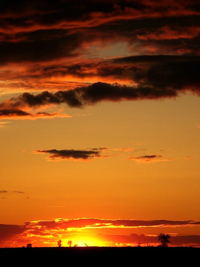 Nuit orange