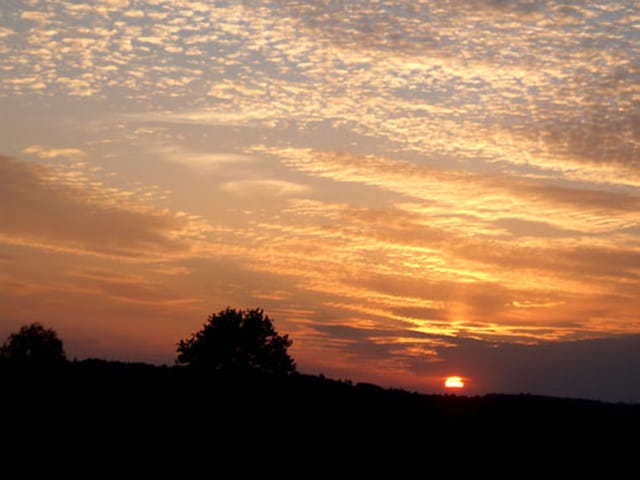 Nuit tombante