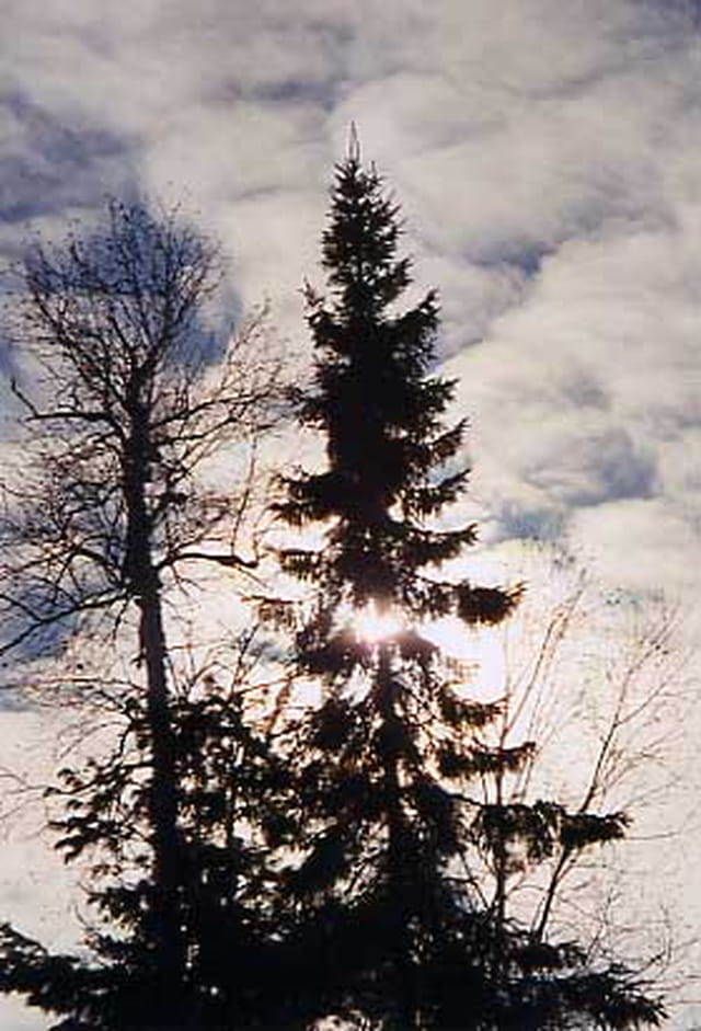 Ombre et lumière