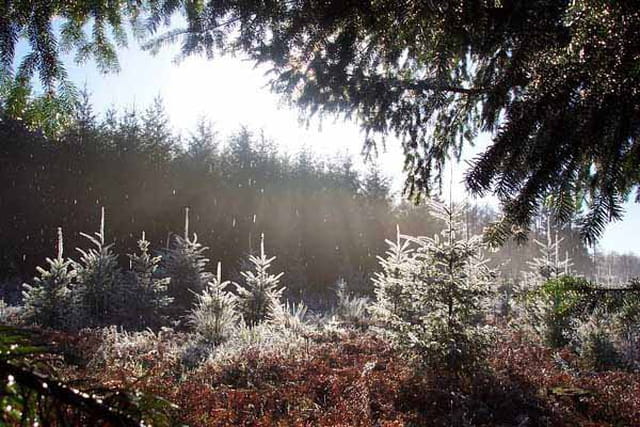 Ombres et lumières un matin d'hiver
