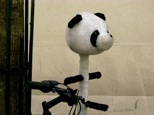 Panda guidon