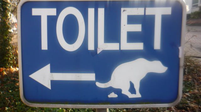 Panneaux insolite