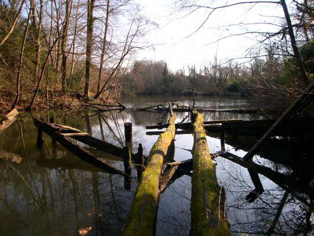 Panorama du lac en hiver