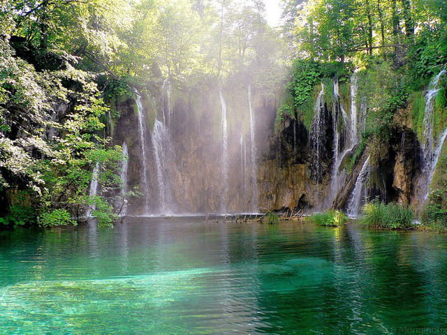 Paradis sur terre