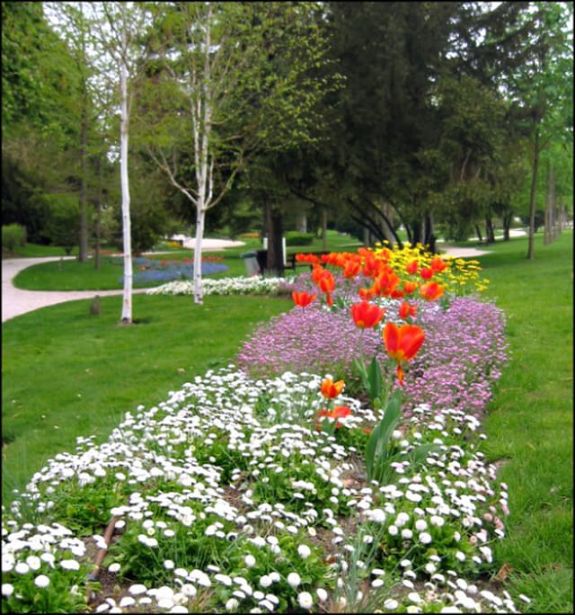 Parterre de fleur au petit jard