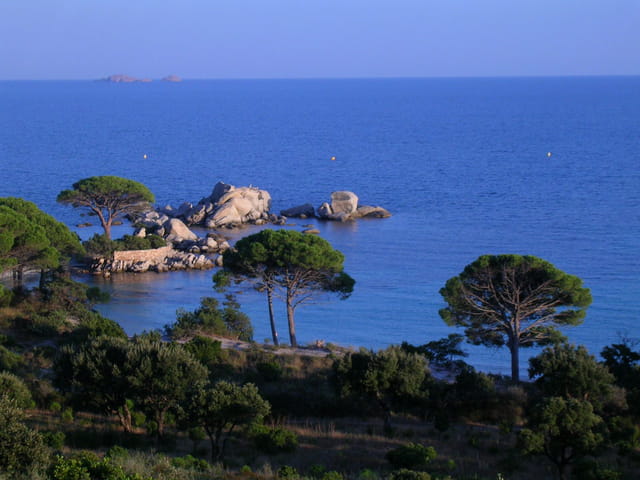 Paysage de corse Paysage de corse