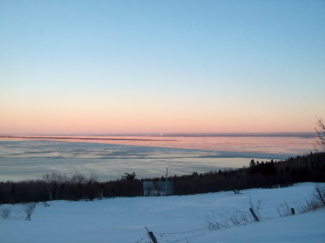 Paysage rose