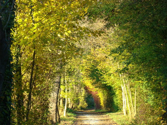 Petit chemin