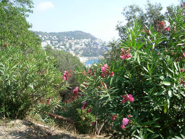 Petit coin de bonheur