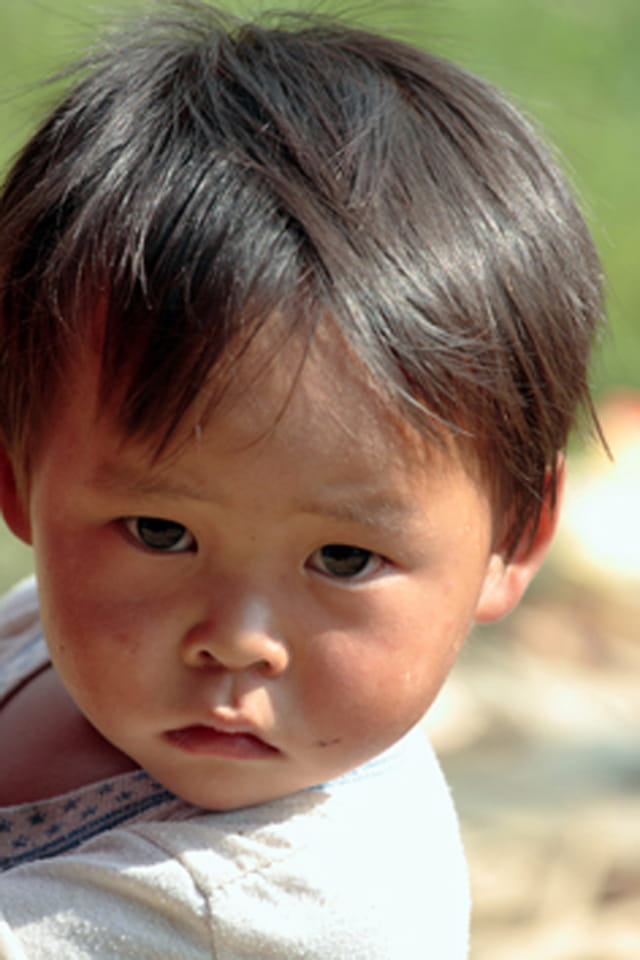 Petit hmong
