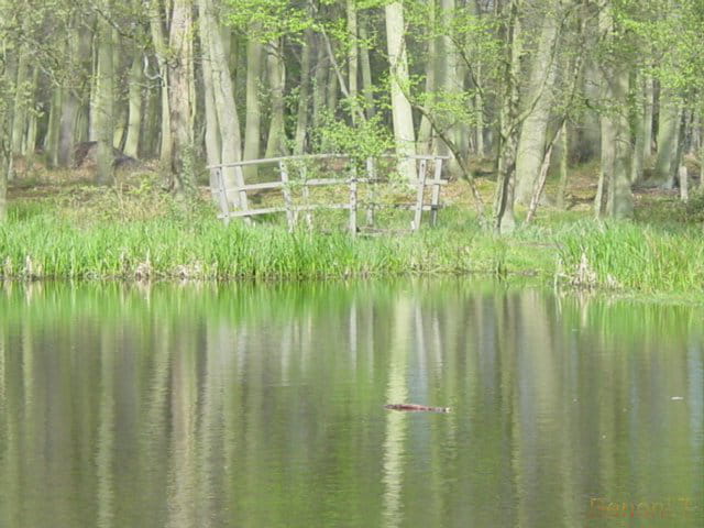 Petit pont