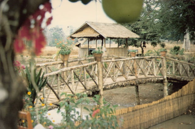Petit pont de bois
