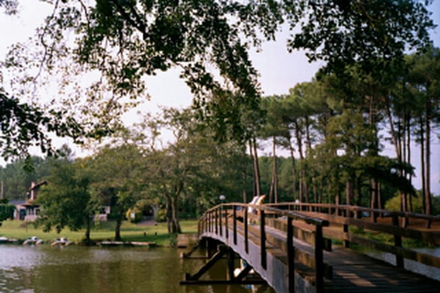 Petit pont Landais