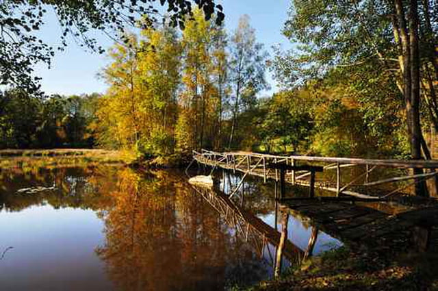 Petit pont sur l'étang