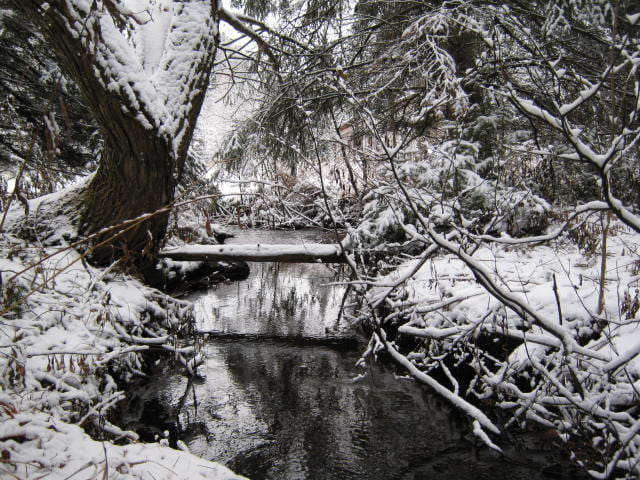PETIT RUISSEAU...