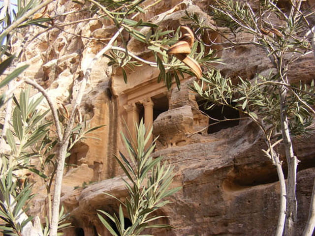 PETRA (petite)