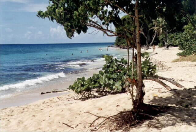 Plage de Ste Lucie