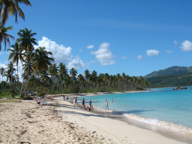 Download Images de plages et cocotiers For iPhone