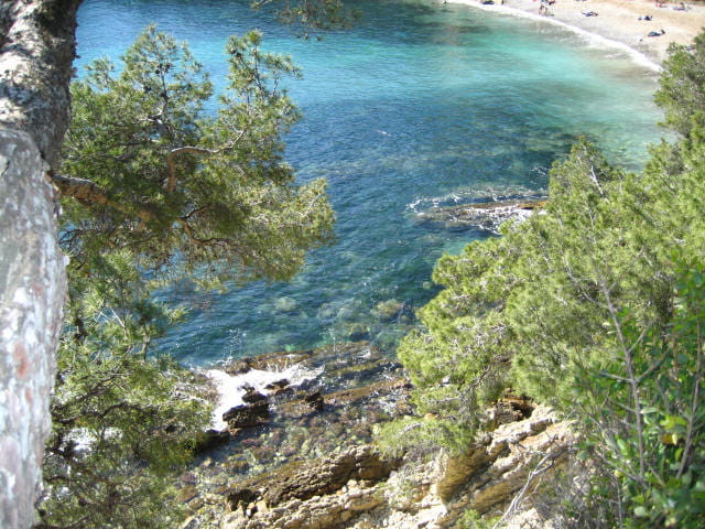 Plage la paloma