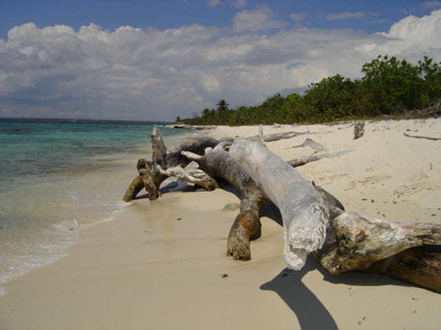 Plage paradisiaque