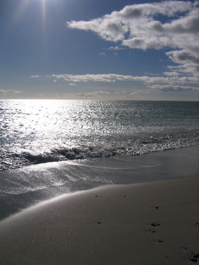 Plage un jour d'hiver
