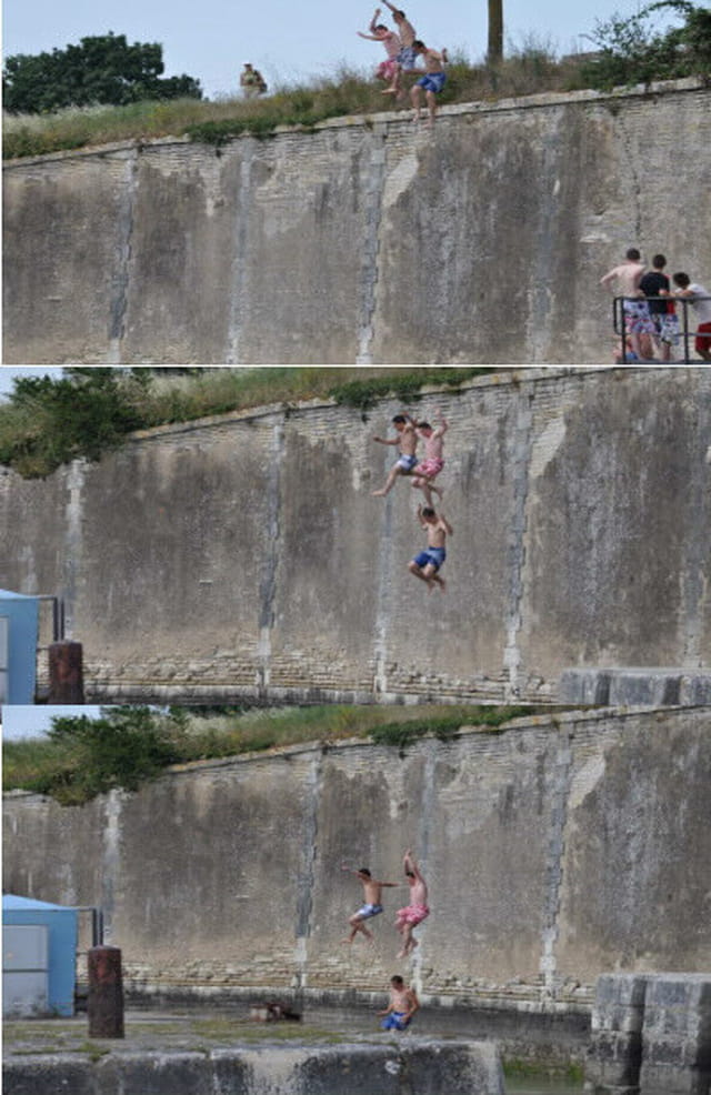 plongeon