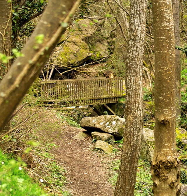 Pont de cascade