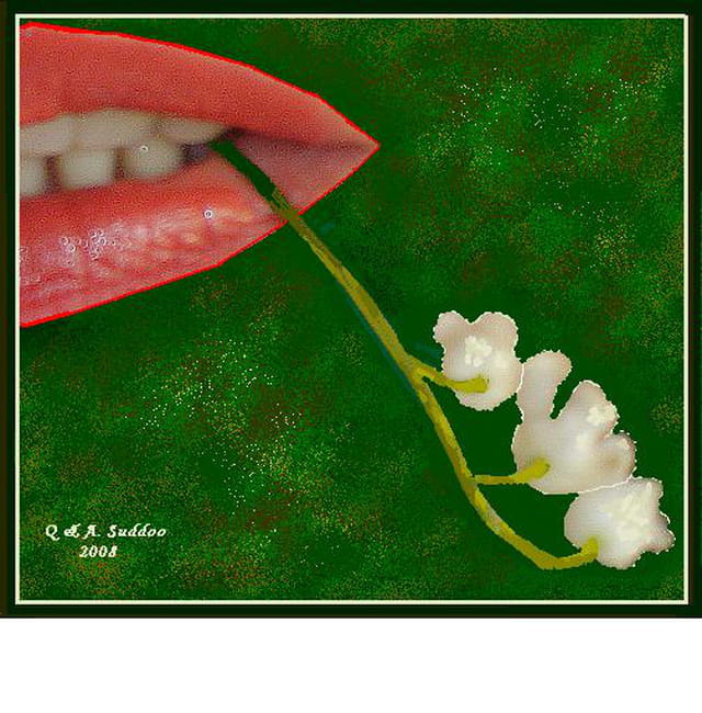 "Premier Mai: Muguet".