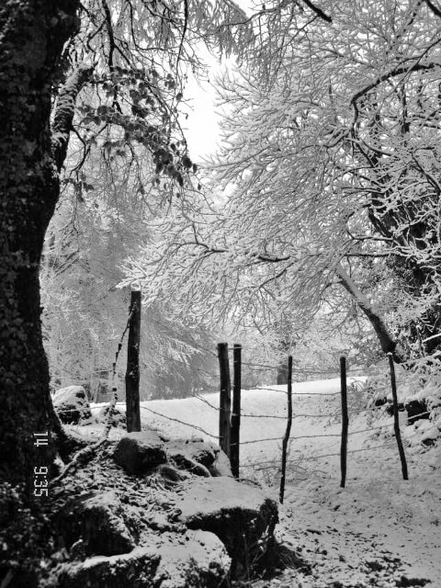 Première neige !