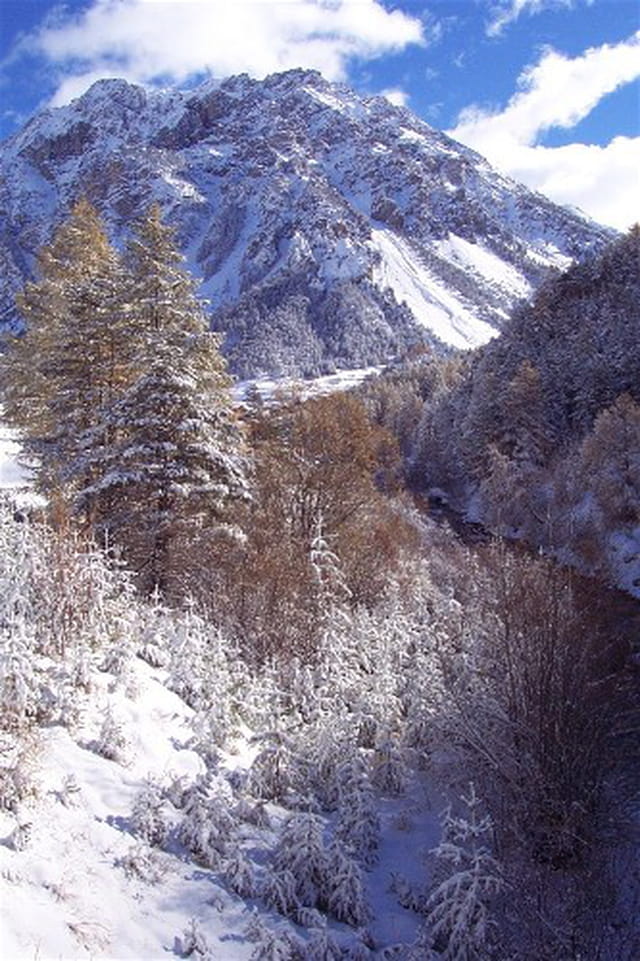 Première neige