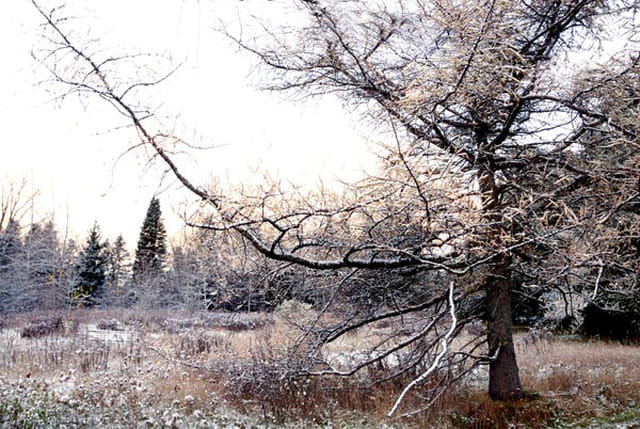 Première neige à Stoneham